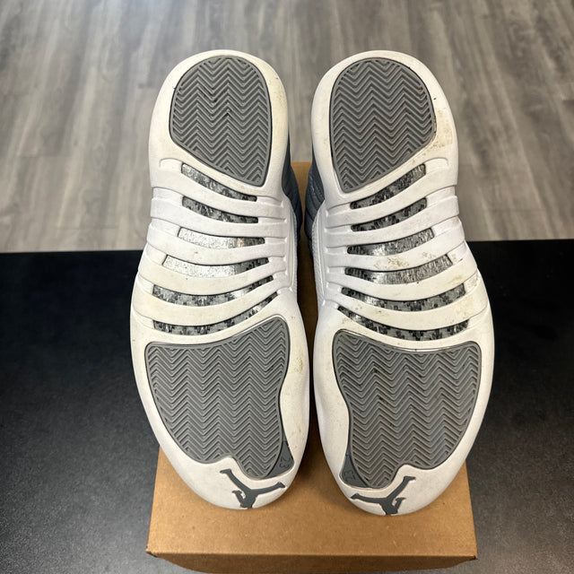 Stealth Jordan 12 (USED, No Box)