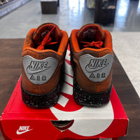 Mars Landing Air Max 90 (USED)