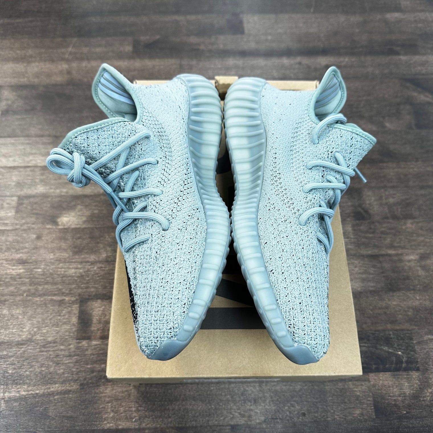Salt Yeezy 350 (Lightly Worn)