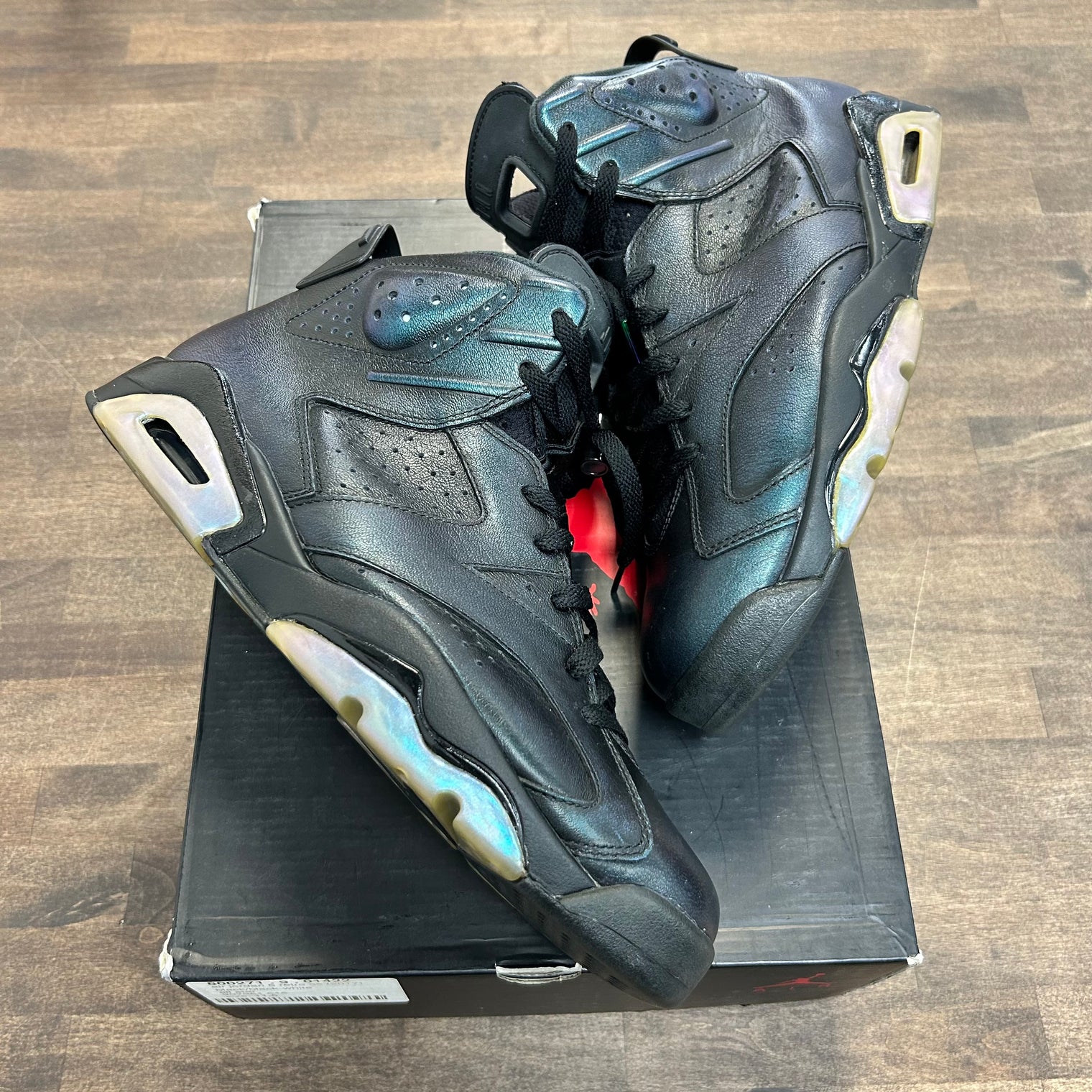 Chameleon Jordan 6 Retro (USED)