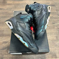 Chameleon Jordan 6 Retro (USED)