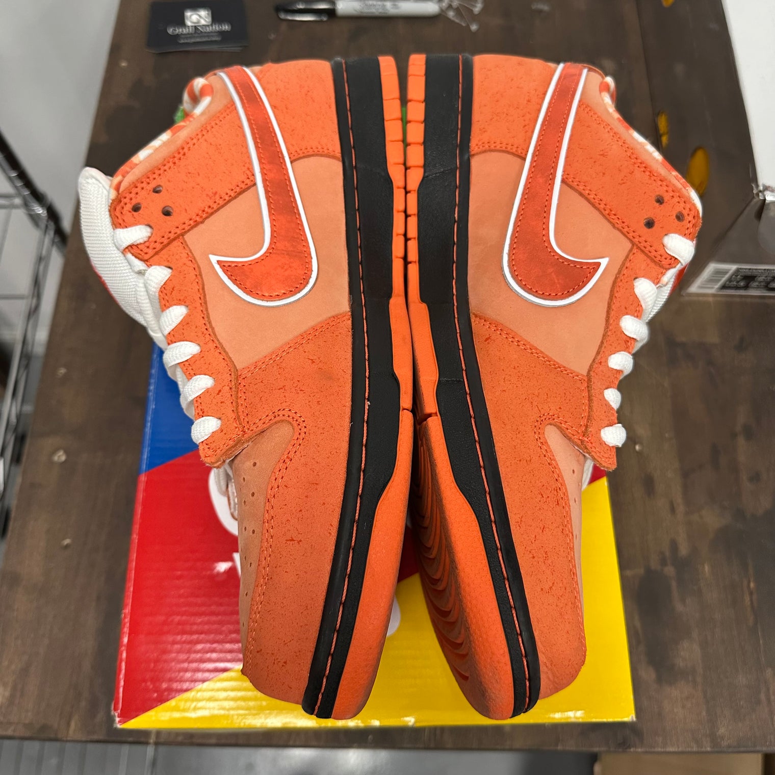 Orange Lobster SB Dunk Low (USED)
