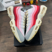 Anatomy of Air GID Air Max 95 (USED)