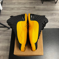 University Gold Jordan 12 (USED, No Box)