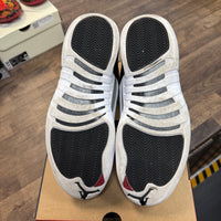 Playoff Jordan 12 (USED)