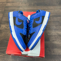 Cobalt Dunk Low (USED)