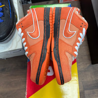 Orange Lobster Nike SB Dunk Low (USED,Faded)