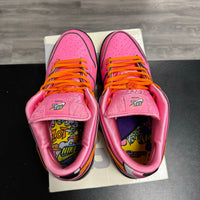 Powerpuff Blossom SB Dunk Low (USED)