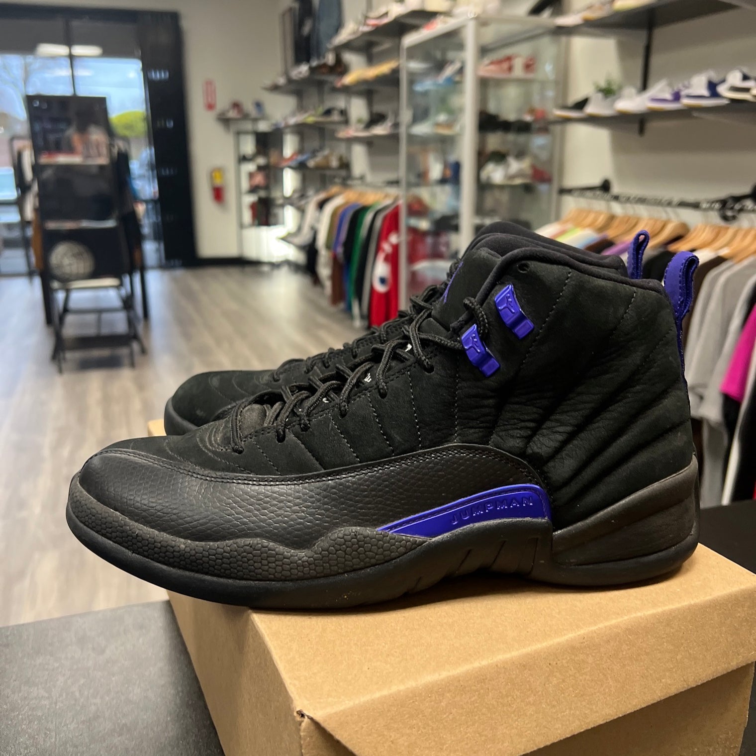 Jordan 12 Dark Concord (Used, no box)