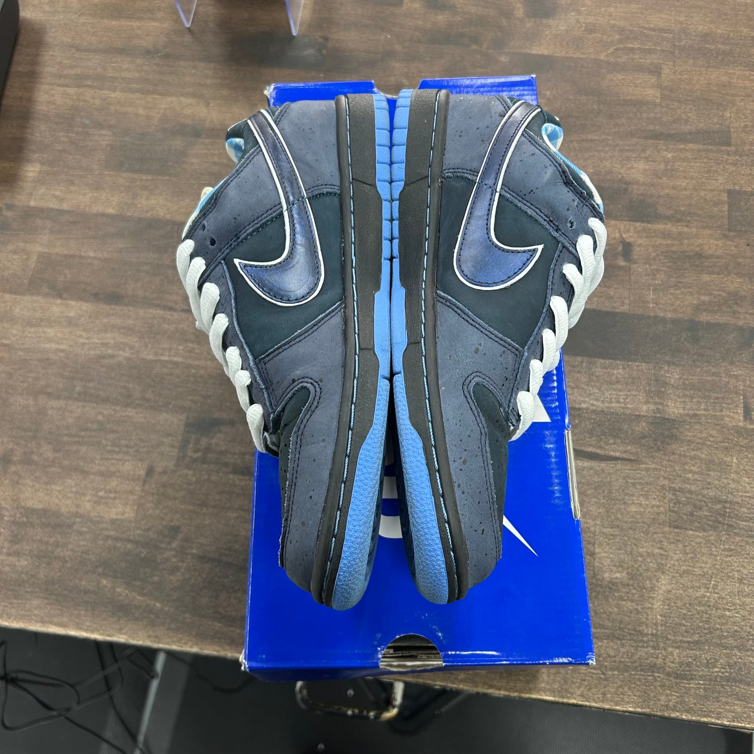 Concepts Blue Lobster Nike SB Dunk Low (USED)