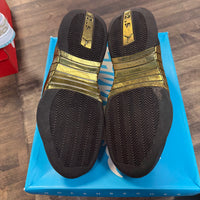 Deornbecher Jordan 15 Retro (2018) (USED)