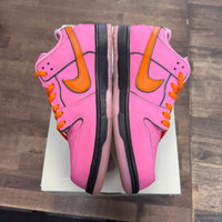 Powerpuff Girls Blossom SB Dunk Low (USED)