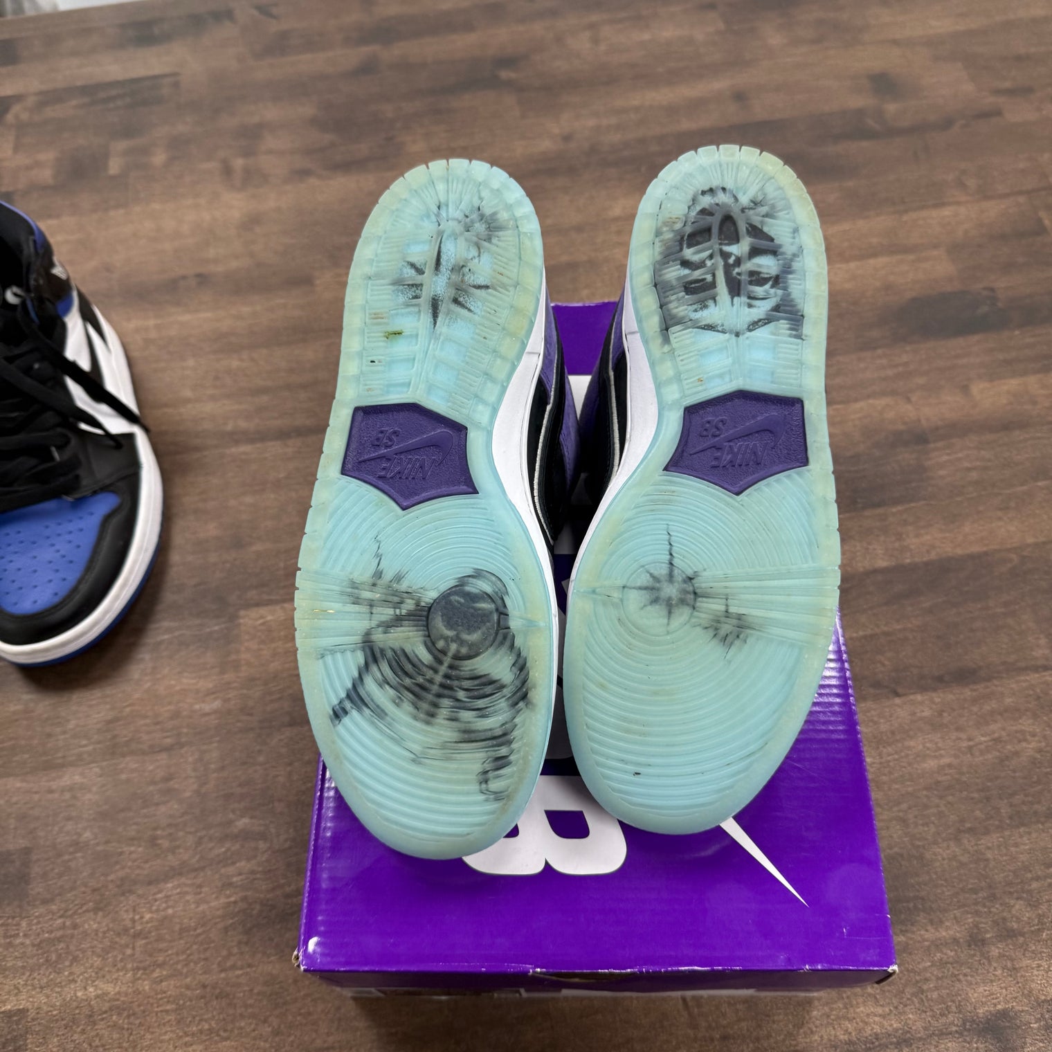 Hayley Wilson Nike SB Dunk Low (USED)