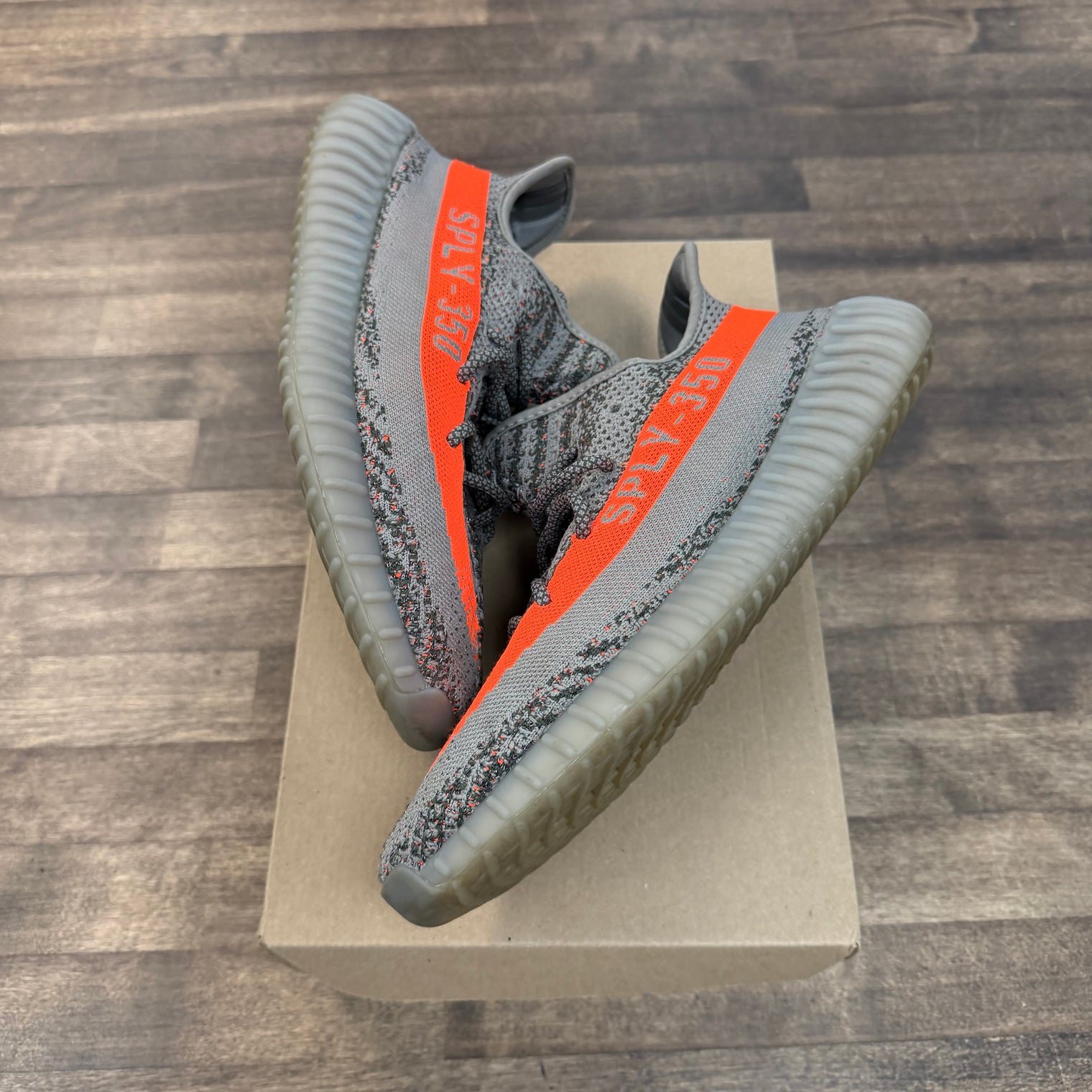 Beluga Yeezy 350 (USED, No Box)