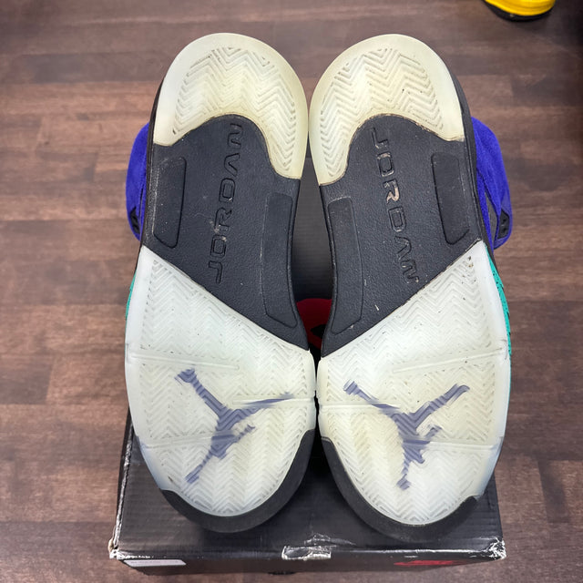 Alternate Grape Jordan 5 (USED)