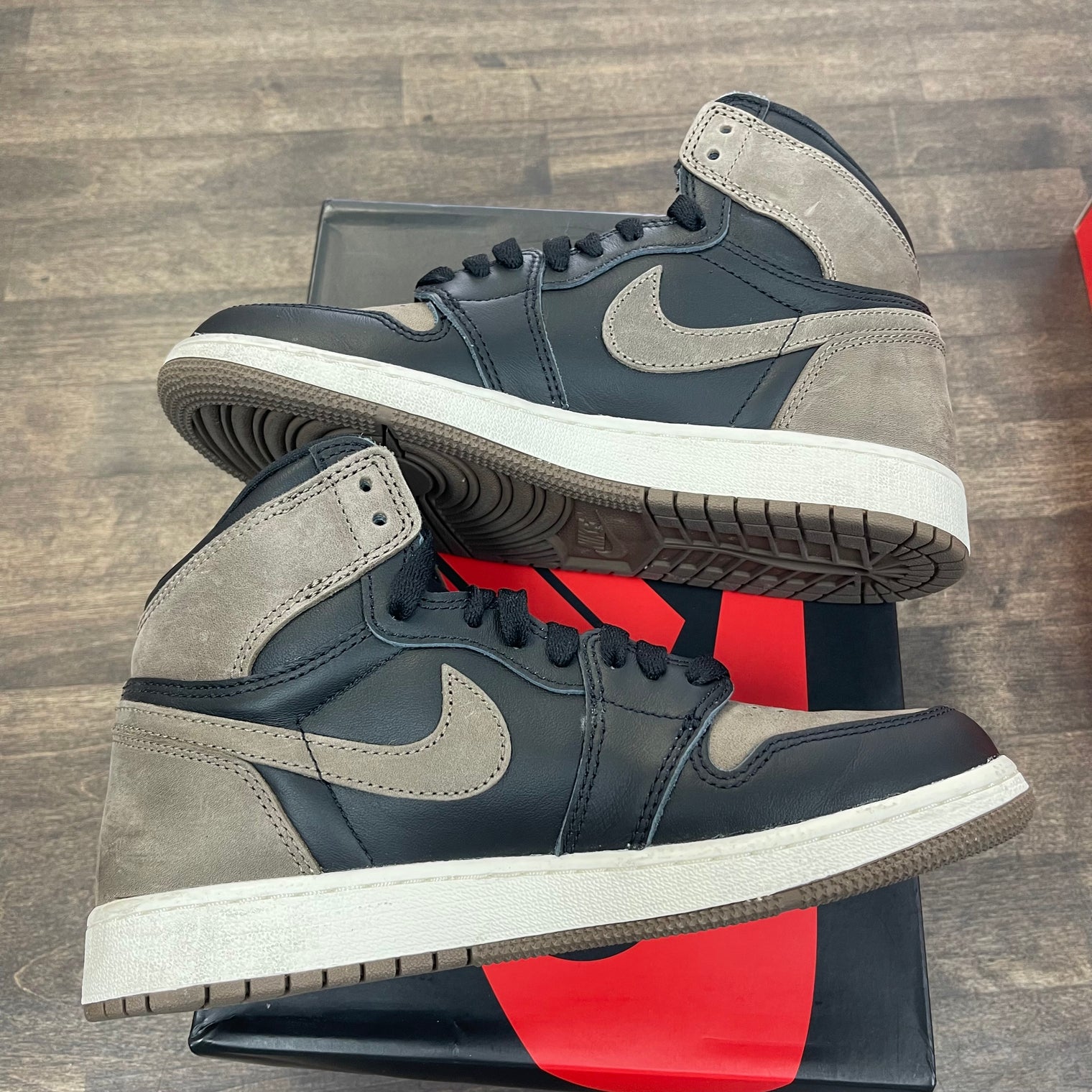 Palomino Jordan 1 High (GS) (USED)