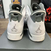 Cool Grey Jordan 6 Retro (USED)