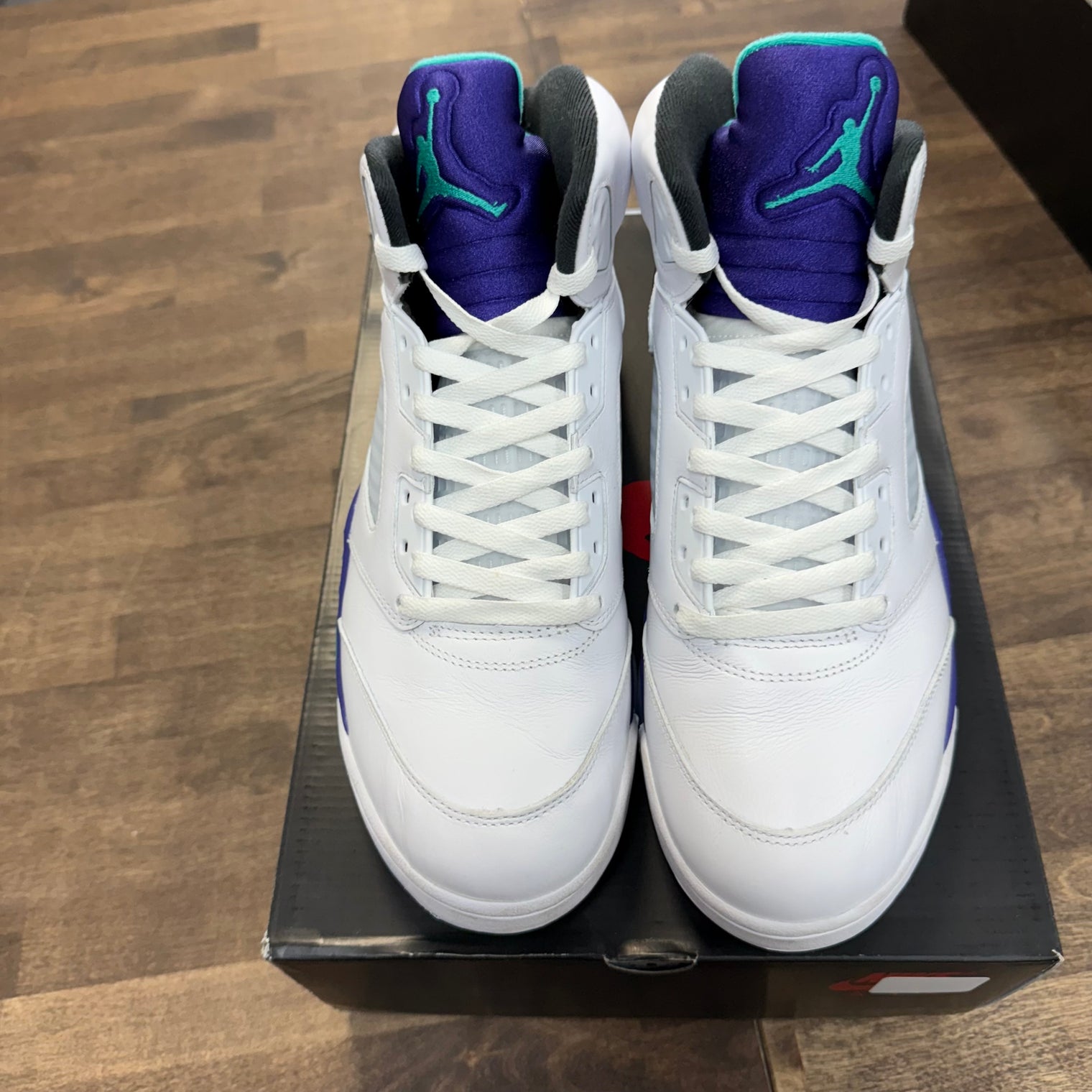 Grape Jordan 5 (2025) (USED)