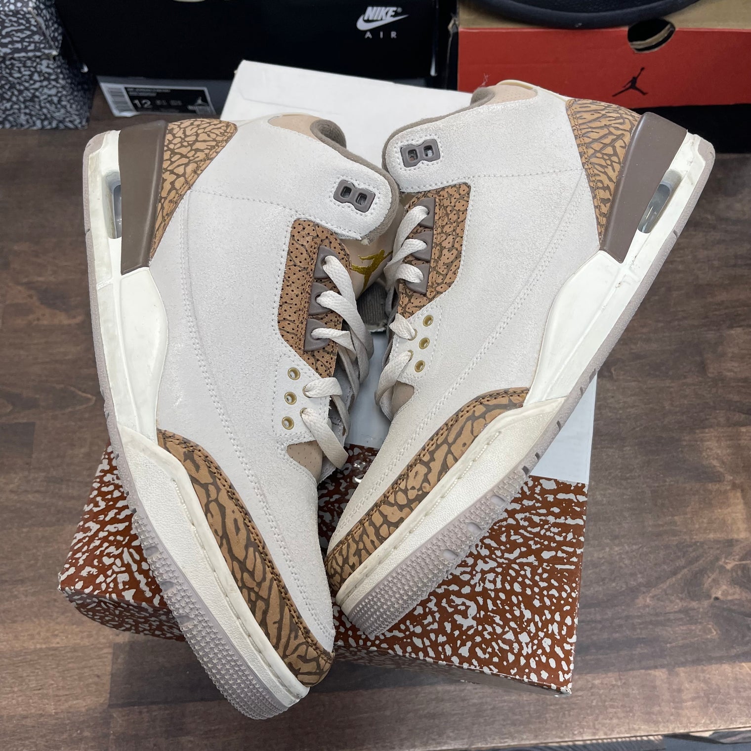 Palomino Jordan 3 (USED)