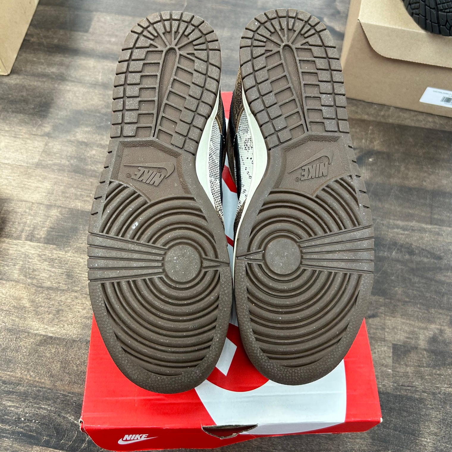 COJP Brown Snakeskin Dunk Low Premium (USED)