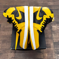 Pollen Jordan 1 High (USED)