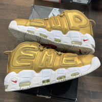 Supreme Uptempo Gold (USED)