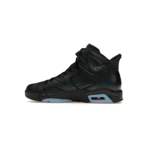 jordan_6_retro_all_star_chameleon_2017_1