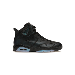 jordan_6_retro_all_star_chameleon_2017_0