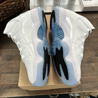Legend Blue Jordan 11 (2024) (USED, No Box)