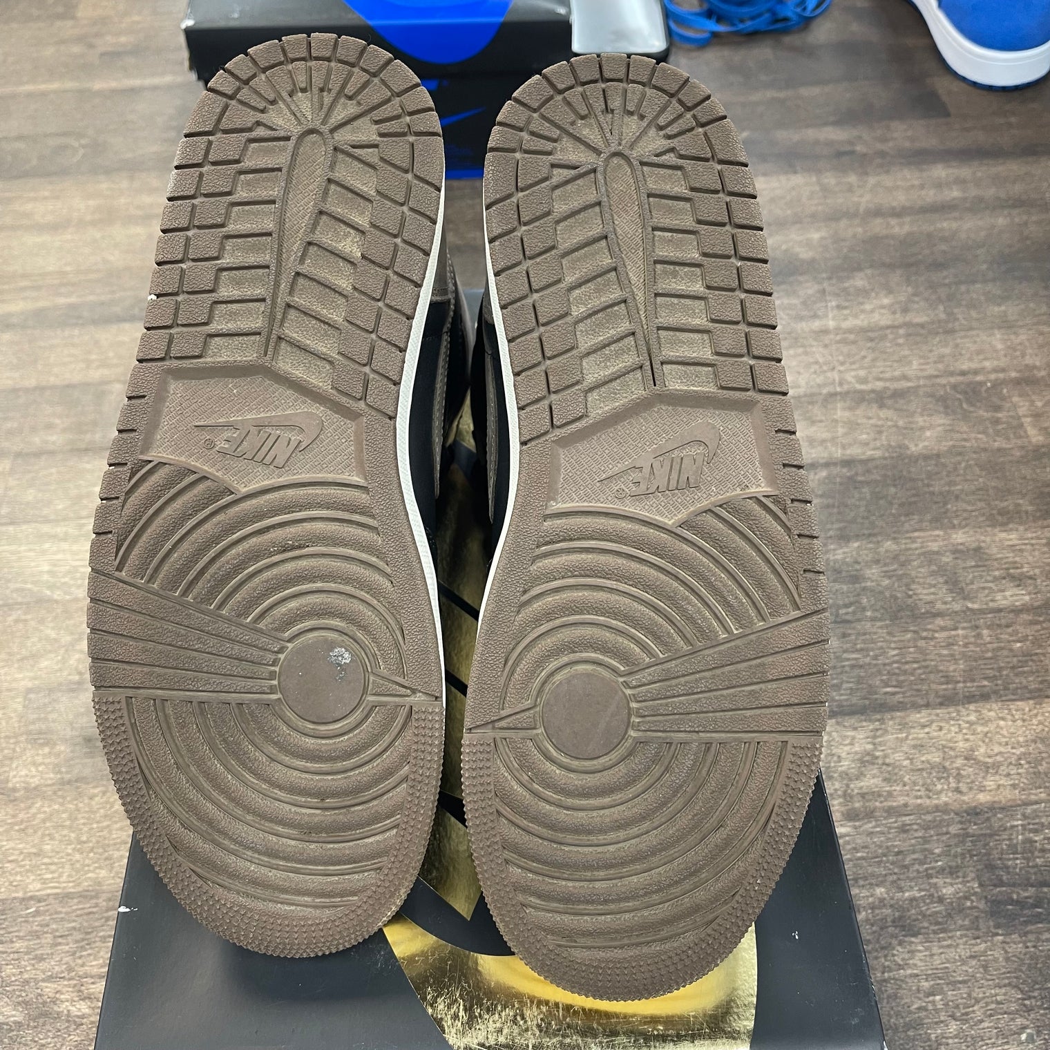 Palomino Jordan 1 High (USED)