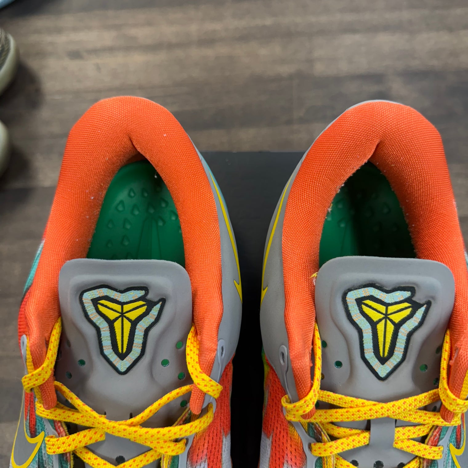 Venice Beach Kobe 8 Protro (USED)