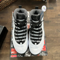 Steel Jordan 10 Retro (USED)