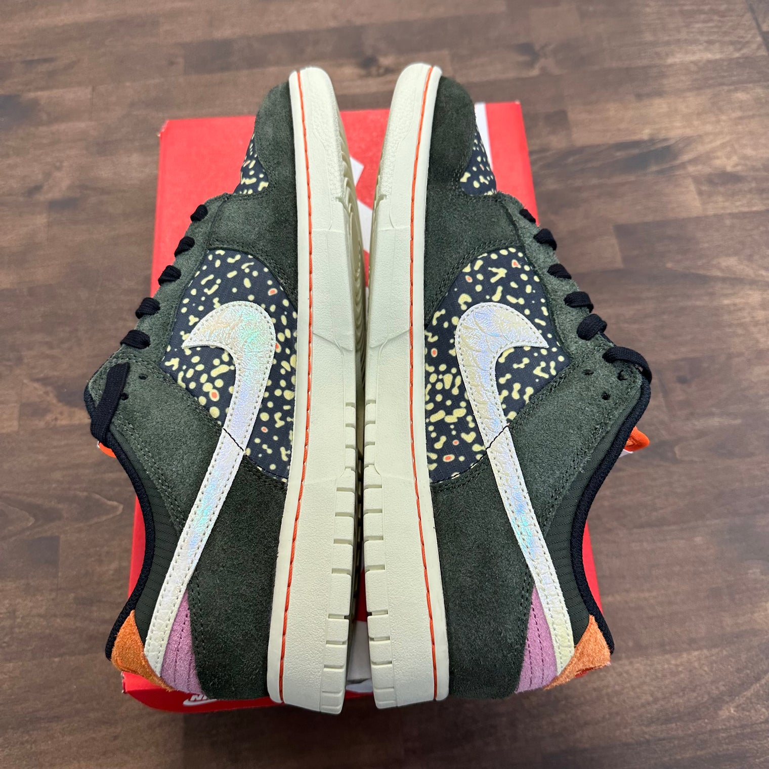 Gone Fishing Rainbow Trout Nike Dunk Low (USED)