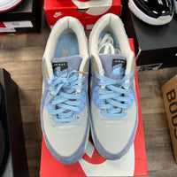 Nike Air Max 90 Ashen Slate (USED, Replacement Box)