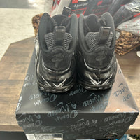 Dream A World Nike Foamposite Black (USED)