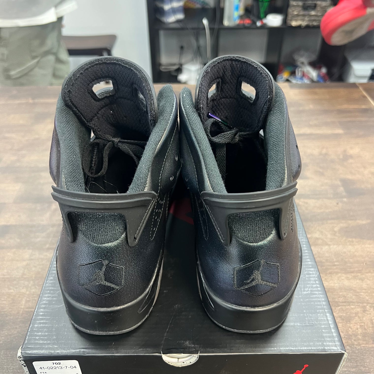 Chameleon Jordan 6 (USED)