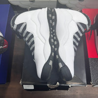 Steel Jordan 10 Retro (USED)