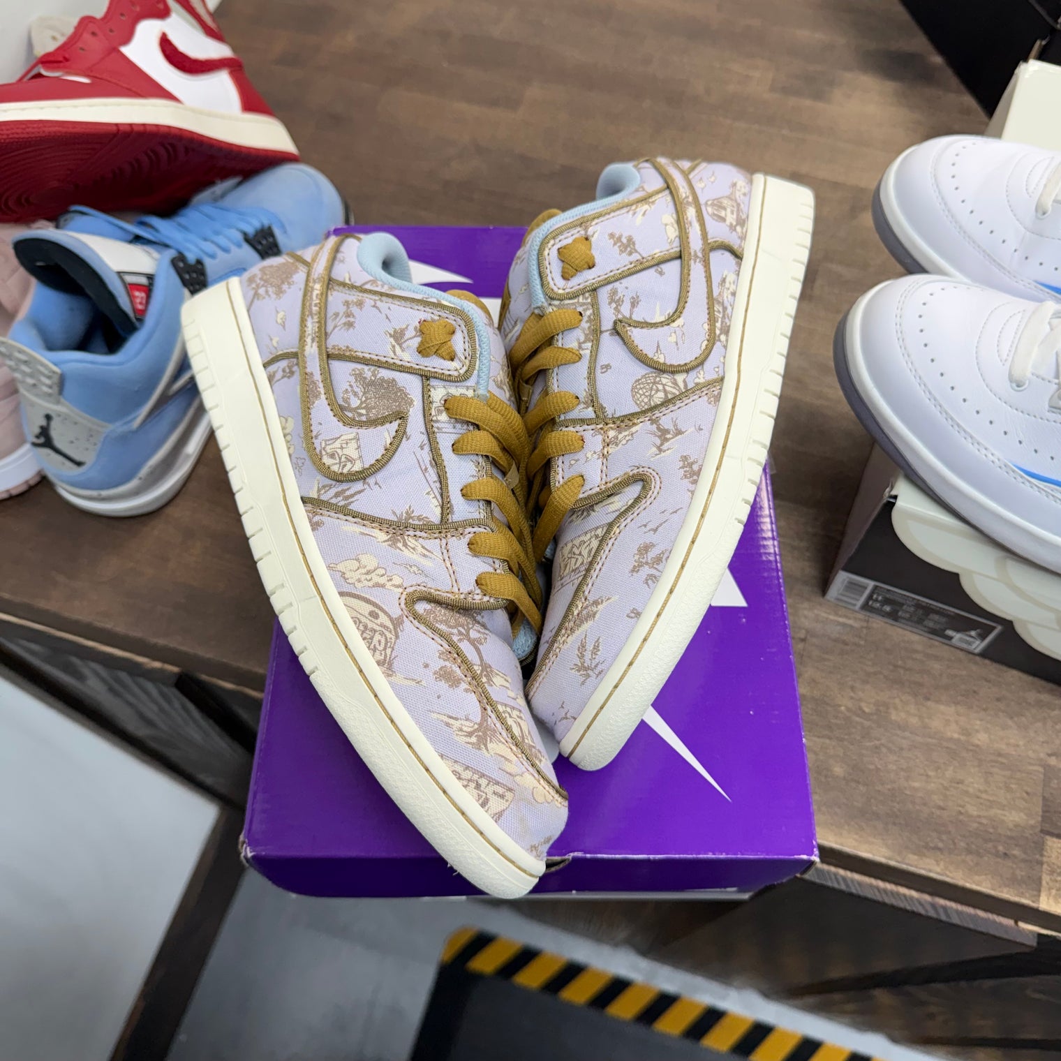 City of Style Nike SB Dunk Low Premium (USED)