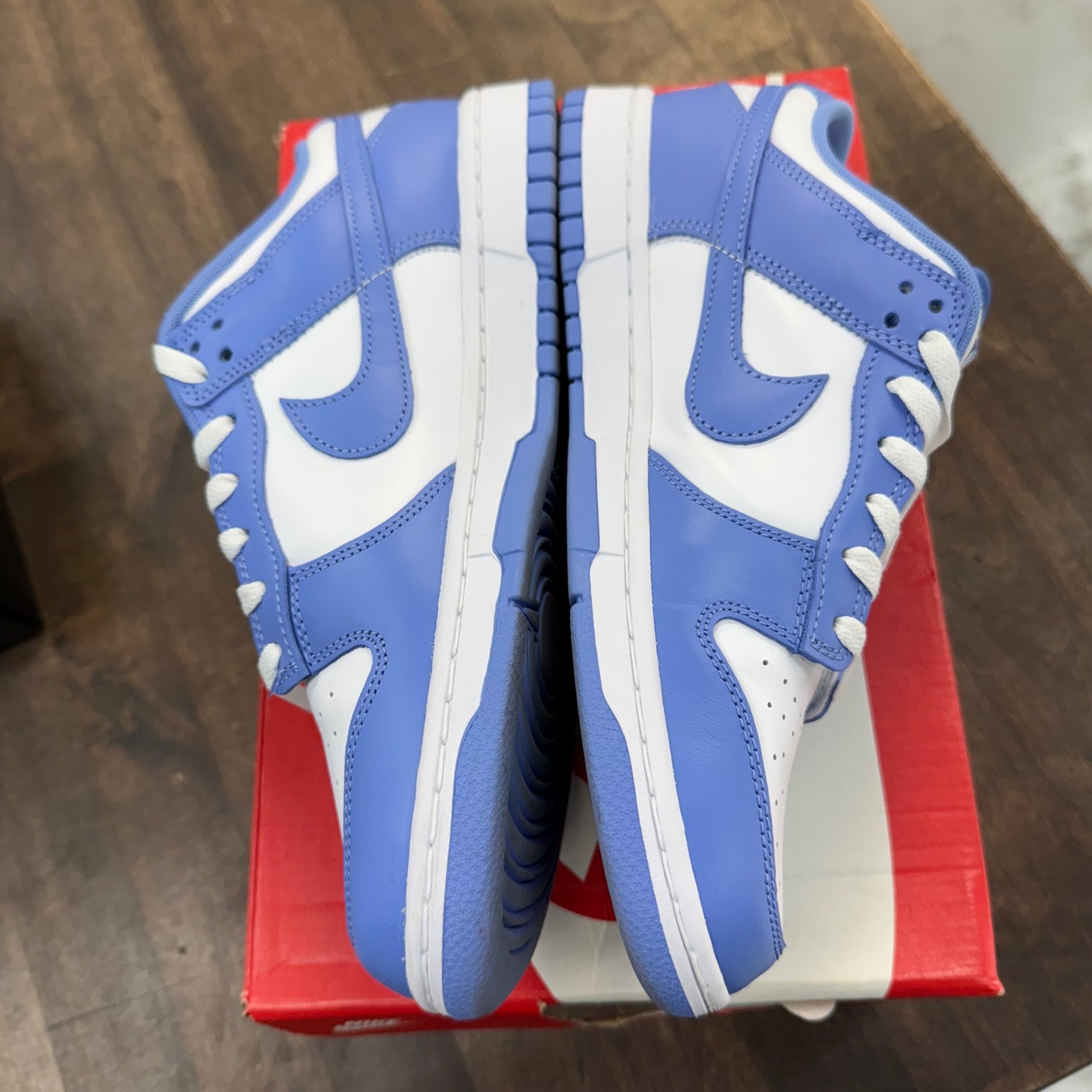 Polar Blue Nike Dunk Low (USED)