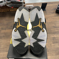 DMP Jordan 6 Retro (2020) (USED)