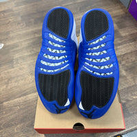 Blueberry Jordan 12 (USED)