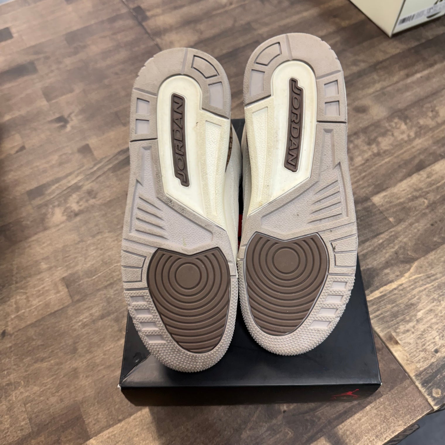 Palomino Jordan 3 Retro (GS) (USED)