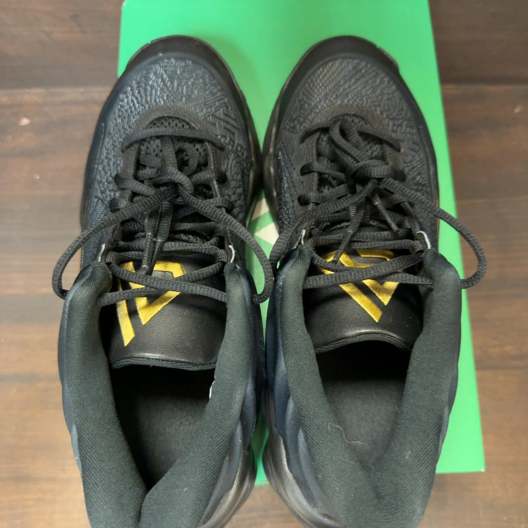 Nike Giannis Immortality 4 Black Metallic Gold - Image 5