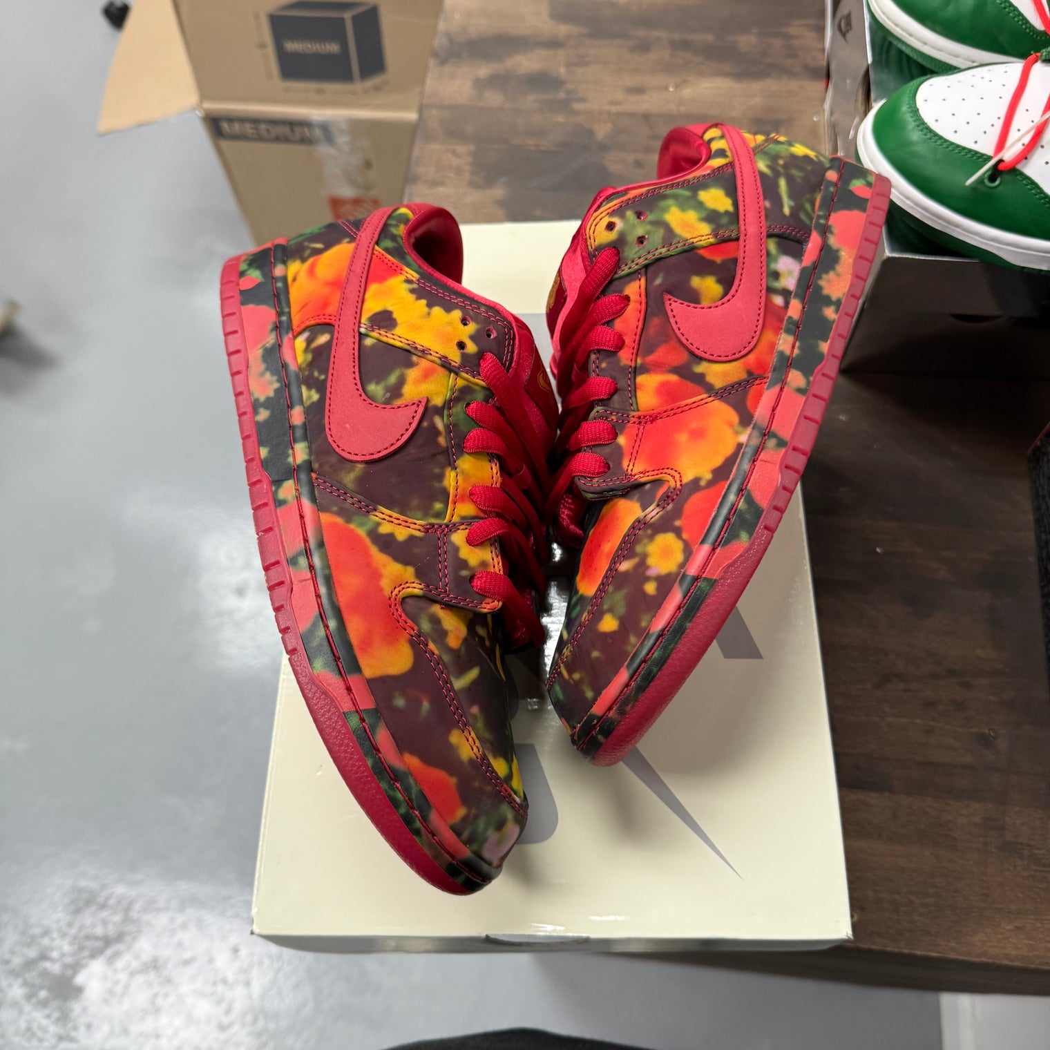 Wizard of OZ SB Dunk Low (Like New)