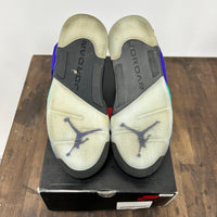 Alternate Grape Jordan 6 (USED)