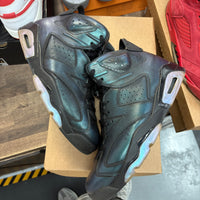 Chameleon Jordan 6 Retro (USED, No Box)