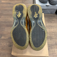 Metallic Gold Nike Foamposite One (USED, No Box)