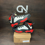 Nike Air Darwin Bulls Size 11 (Pre-Owned) - Image 1