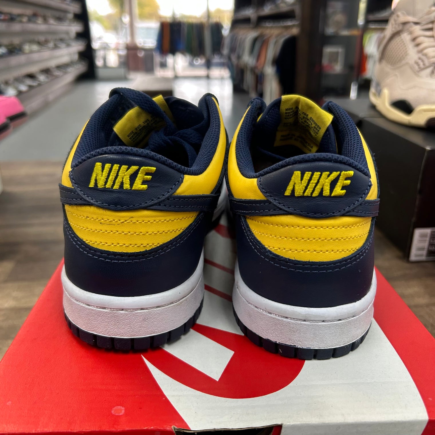 Michigan Nike Dunk Low (GS) (USED)