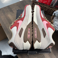Bacon Air Max 90 (USED)